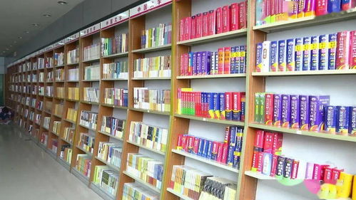 书店人气爆棚 开启暑期 书式 生活