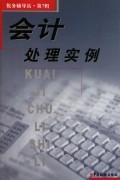 《会计处理实例与税务辅导站》 企业财税管理实战指南