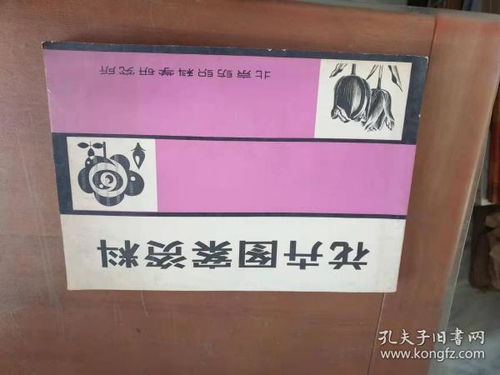 泛黄页页旧时光 我如何与一家旧书店重建阅读命运